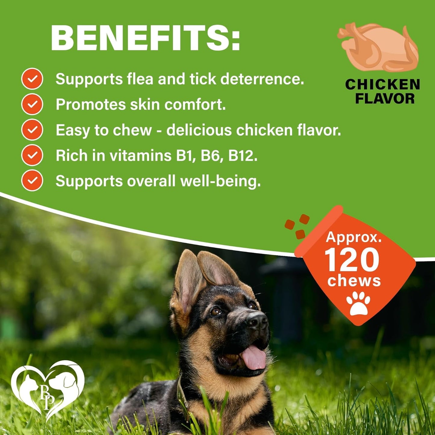 Beloved Pets Natural Flea & Tick Support Bacon Flavored Soft Chew for Skin & Coat Supplement for Dogs, 10-oz Jar (Bacon)