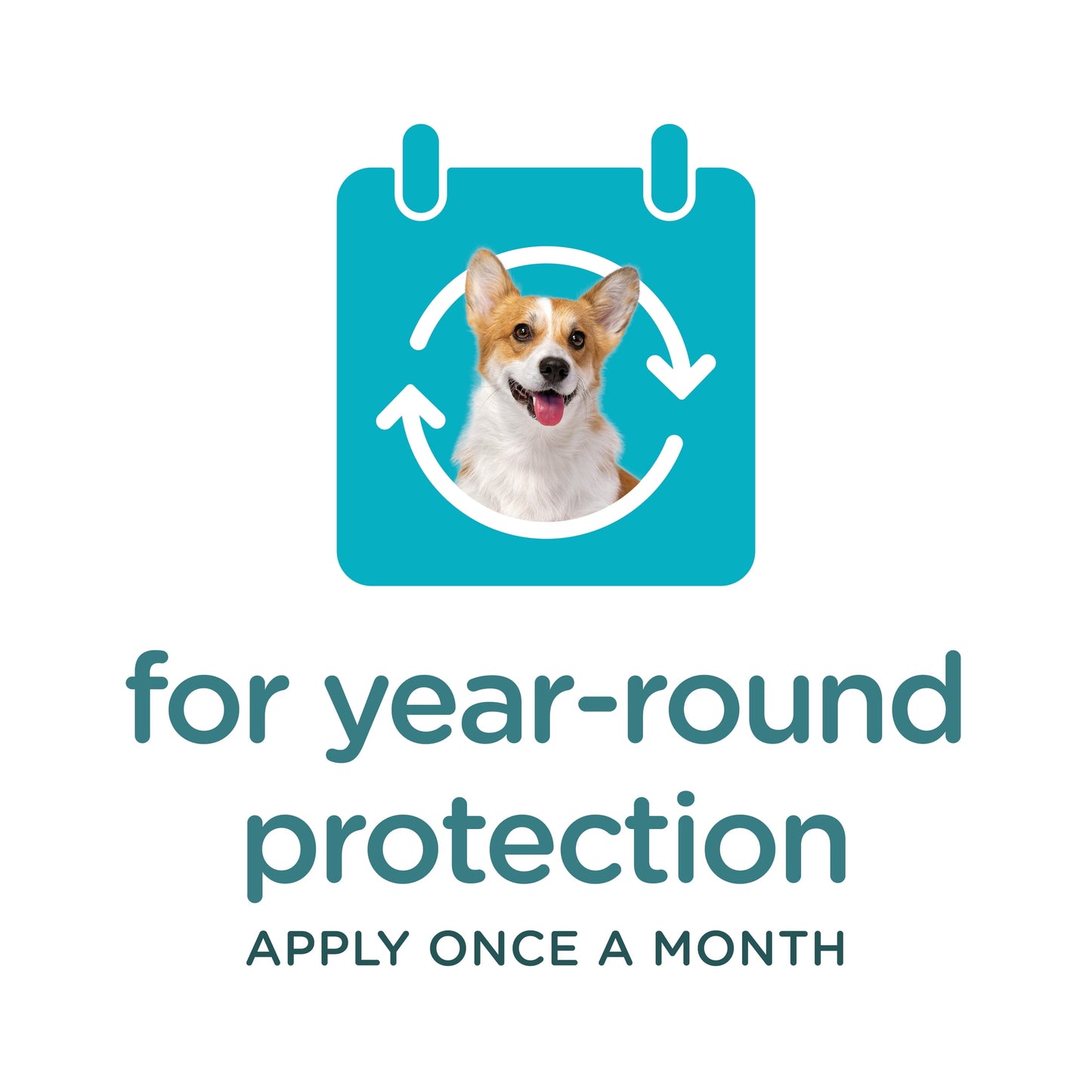SERGEANT'S GUARDIAN Flea & Tick Topical for Dogs, 7-33 lbs, kills fleas and ticks, plus repels mosquitoes for up to four weeks.