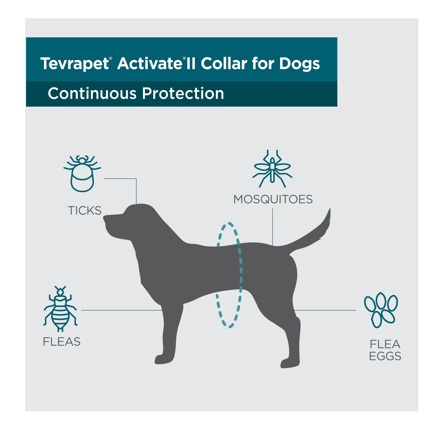 TevraPet Activate II Flea & Tick Collar for Small Dogs, 6 Months Prevention, 2 Count