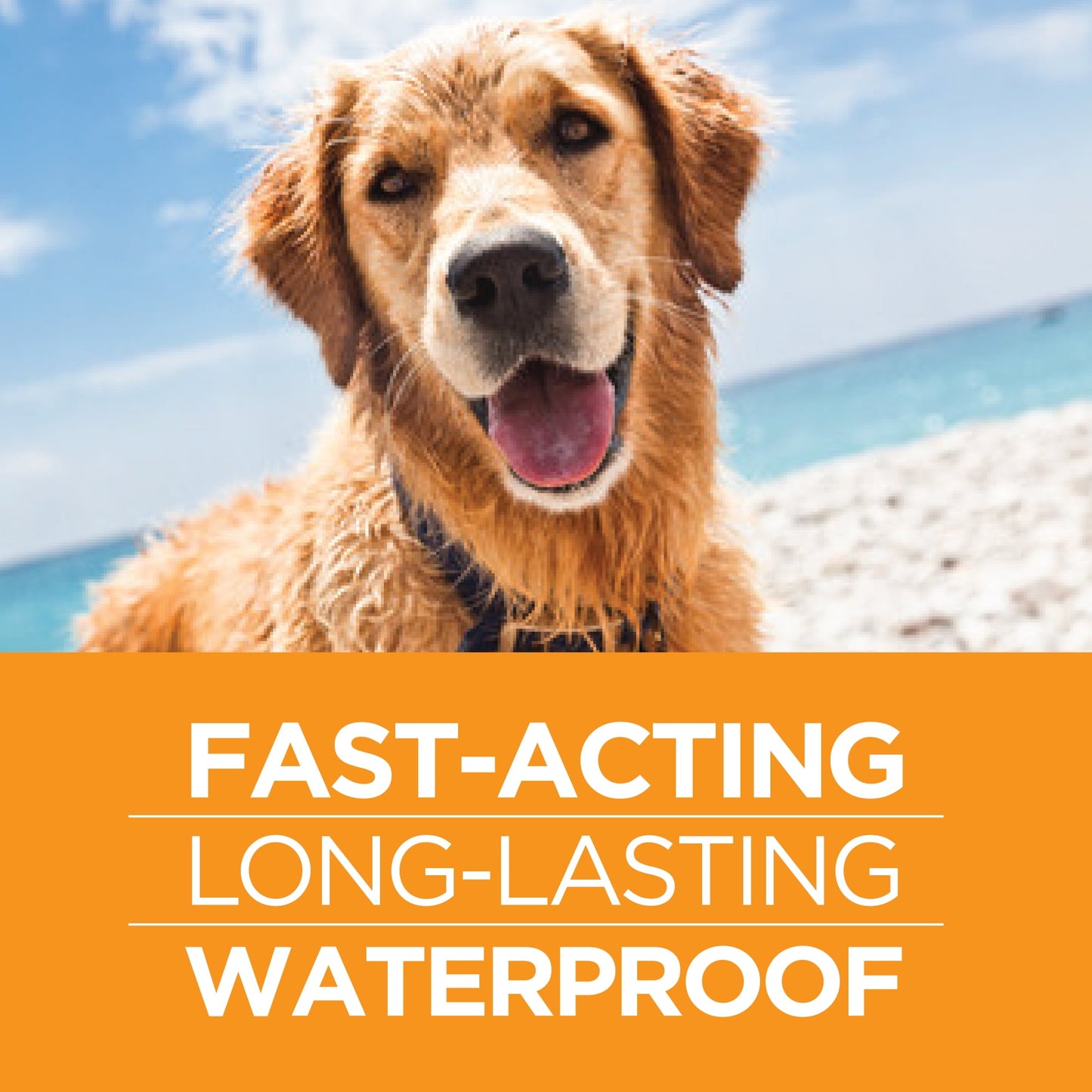 TevraPet FirstAct Plus Flea and Tick Prevention for Extra Large Dogs 89-132 lbs, 3 Monthly Treatments