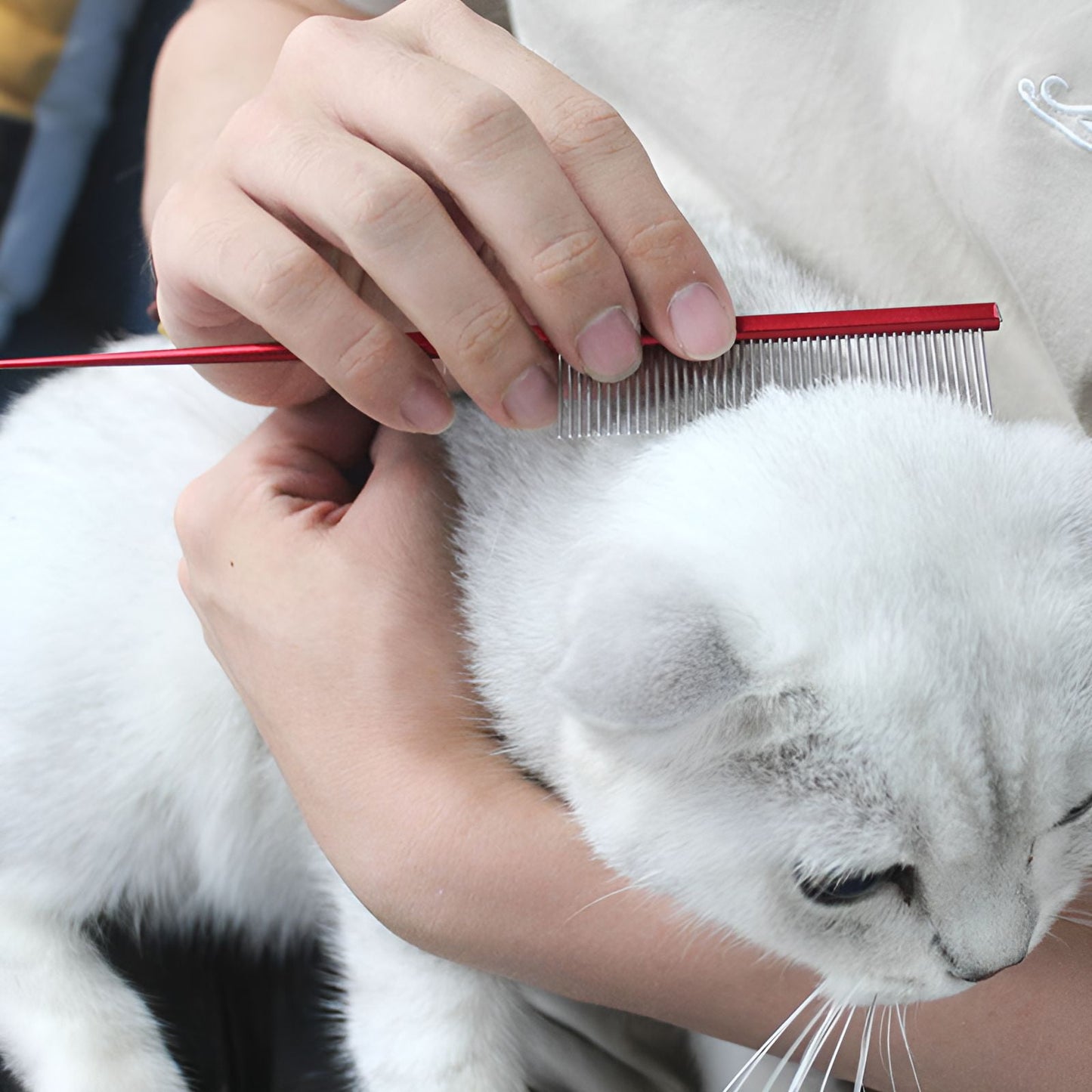 ACDANC Dog Comb,Stainless Steel Cat Comb,For Long & Short Hair Dematting Comb for Dogs,Blue