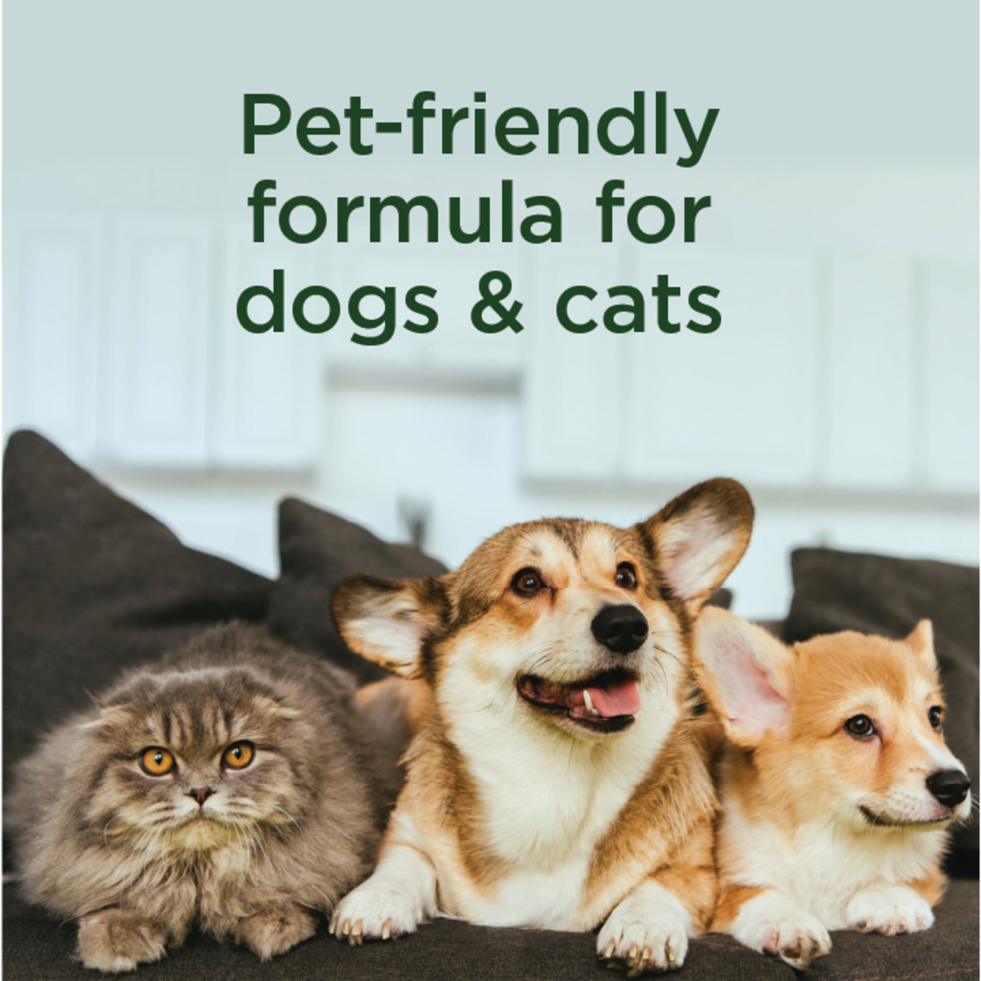 SimpleSource® Flea & Tick Home & Pet Spray, Kills Fleas, Flea Eggs, Flea Larvae, & Ticks, Kills 
& Repels Mosquitos, 32oz Bottle