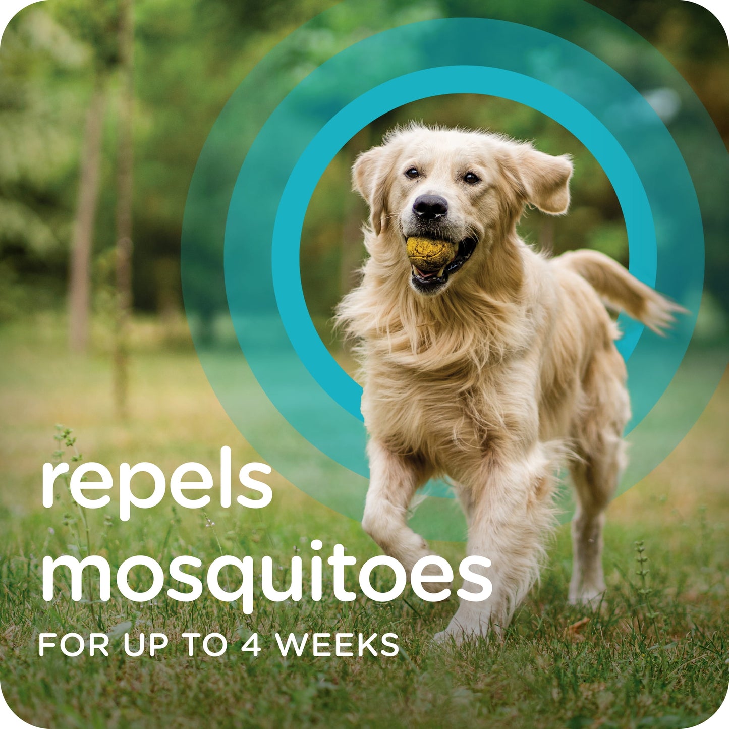 SERGEANT'S GUARDIAN Flea & Tick Topical for Dogs, 7-33 lbs, kills fleas and ticks, plus repels mosquitoes for up to four weeks.
