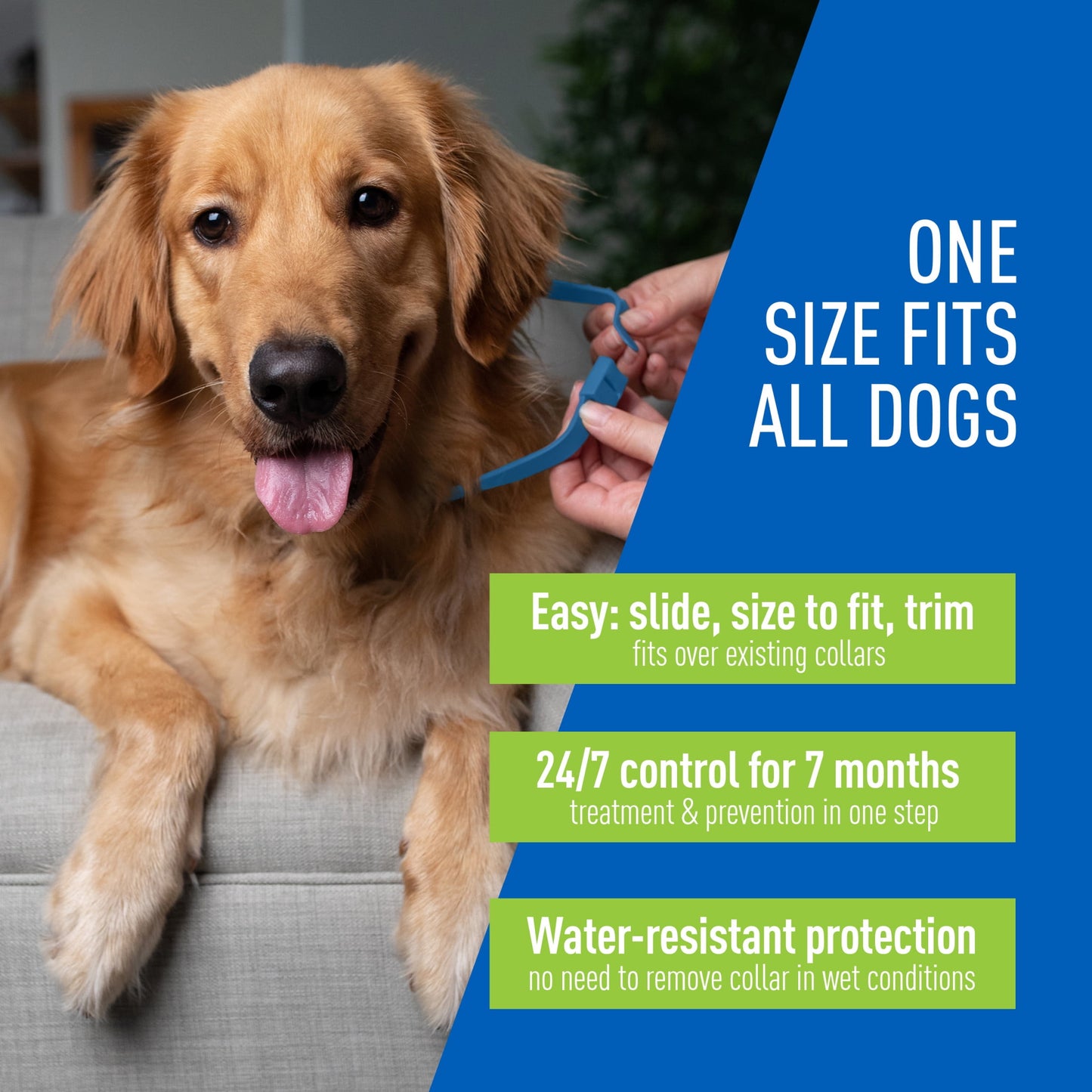 Adams Flea and Tick Control Collar for Dogs and Puppies (1 Pack)