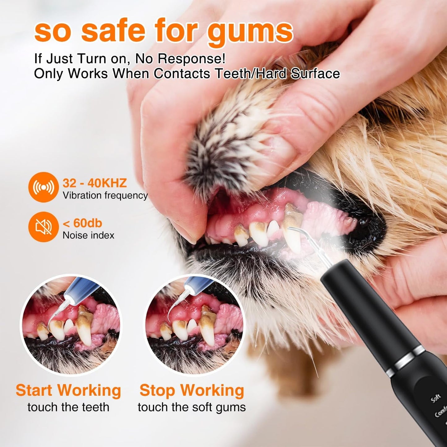 Aorsher Dog Plaque Remover for Teeth, Pet Tooth Cleaner, Dog Teeth Cleaning Kit - Teeth Cleaner with LED Light and Tartar Remover,  Dog Toothbrush Protect Gums