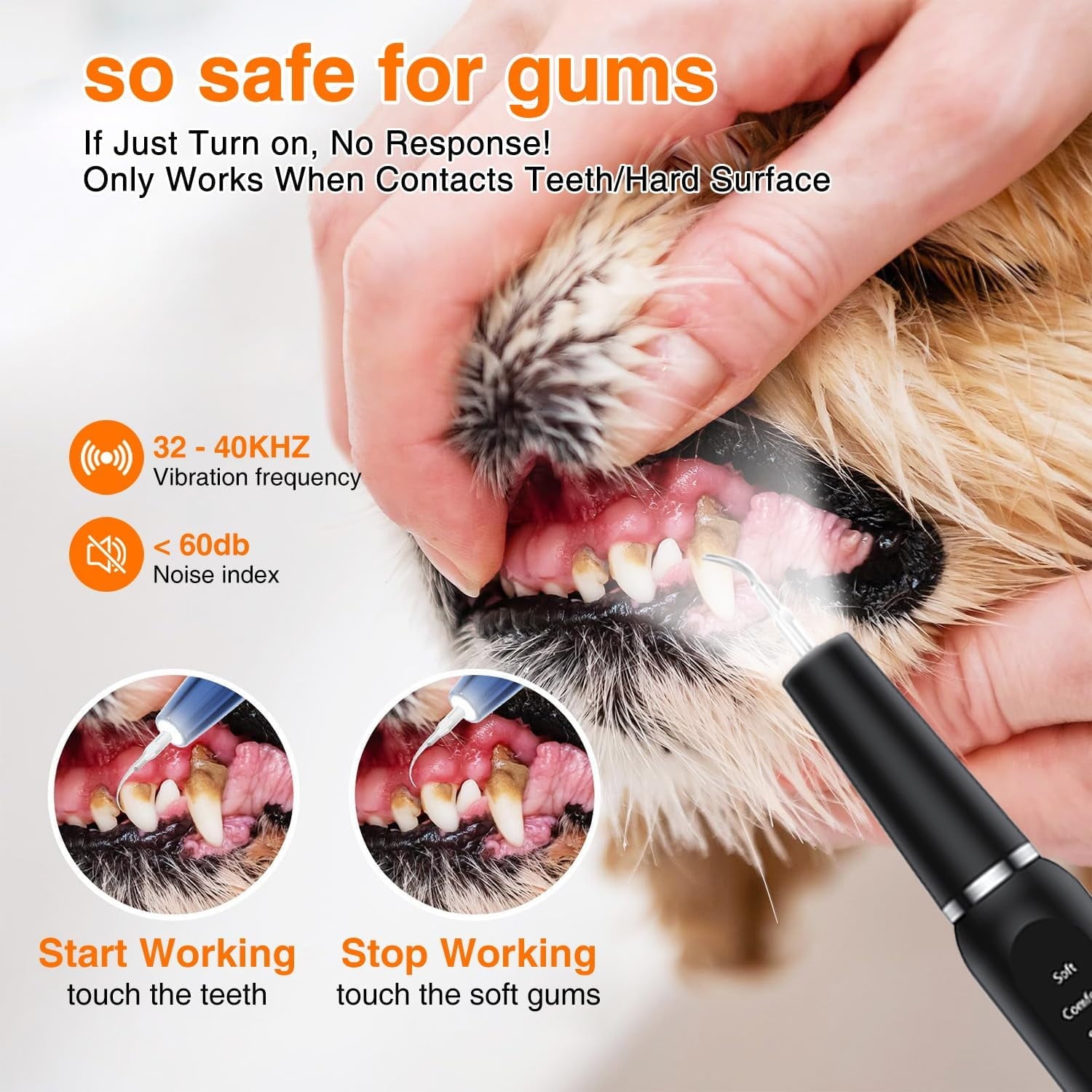 Aorsher Dog Plaque Remover for Teeth, Pet Tooth Cleaner, Dog Teeth Cleaning Kit - Teeth Cleaner with LED Light and Tartar Remover,  Dog Toothbrush Protect Gums