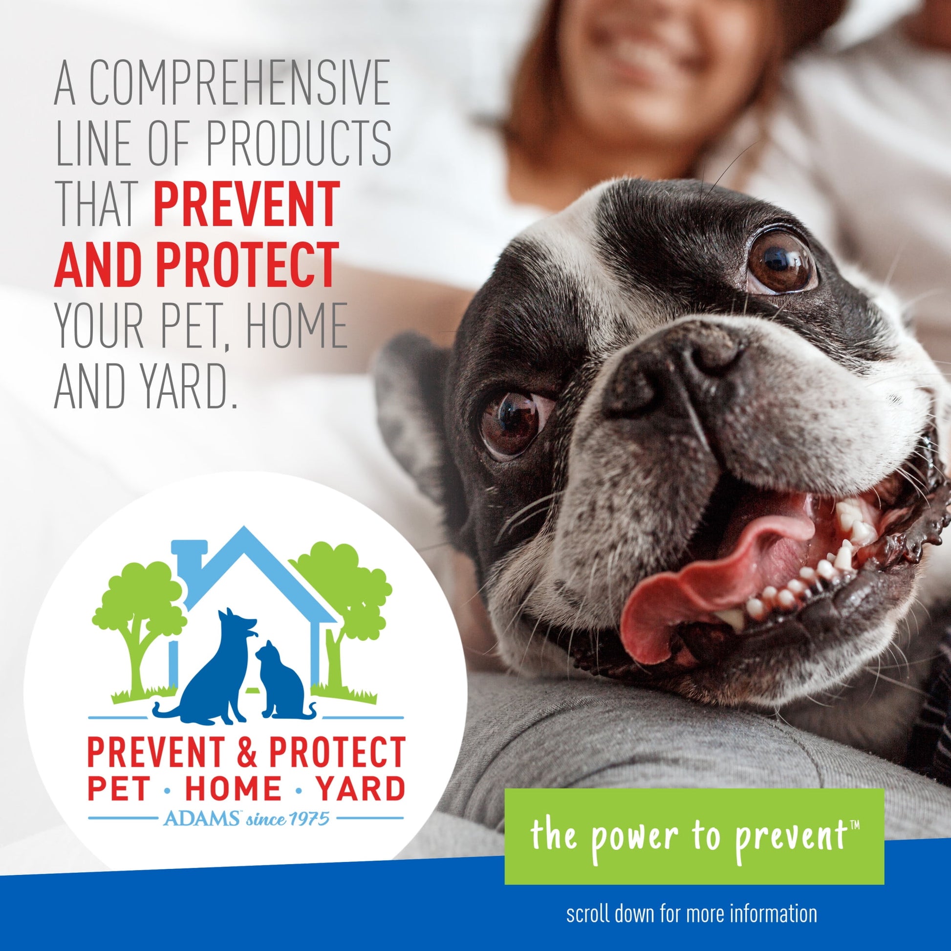 Adams Flea and Tick Control Collar for Dogs and Puppies (1 Pack)