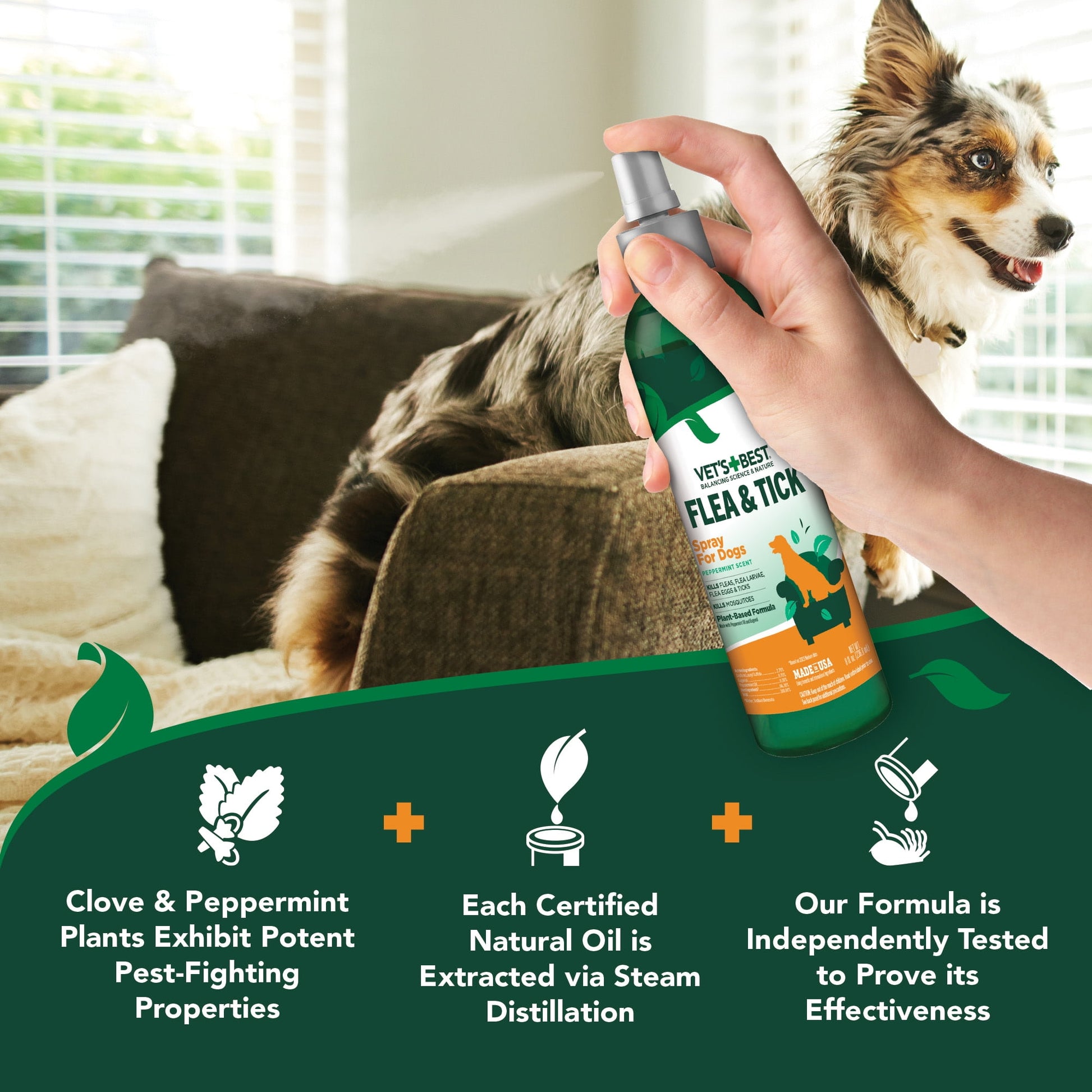 Vets Best Flea & Tick Spray for Dogs - 8 oz.