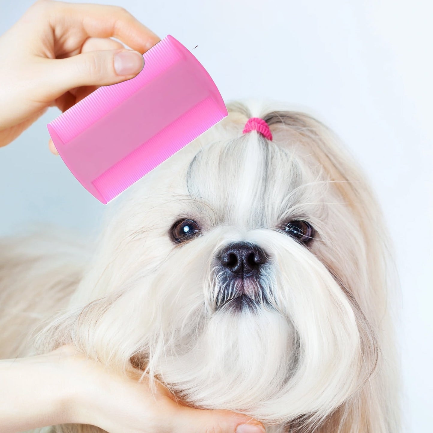 4-in-1 Pet Grooming Kit, Flea, Tear Stain, Deshedding & Fine Tooth Combs for Dogs, Cats, and Small Animals, Stainless Steel with Ergonomic Non-Slip Handles