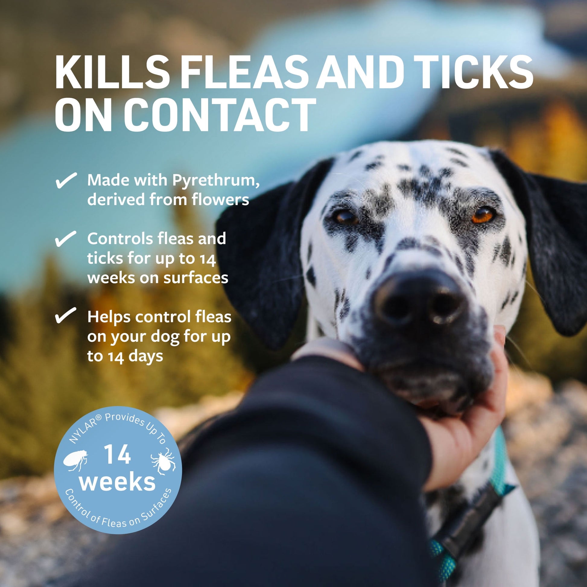 Veterinary Formula Clinical Care Flea & Tick Spray for Dogs, 8 oz.