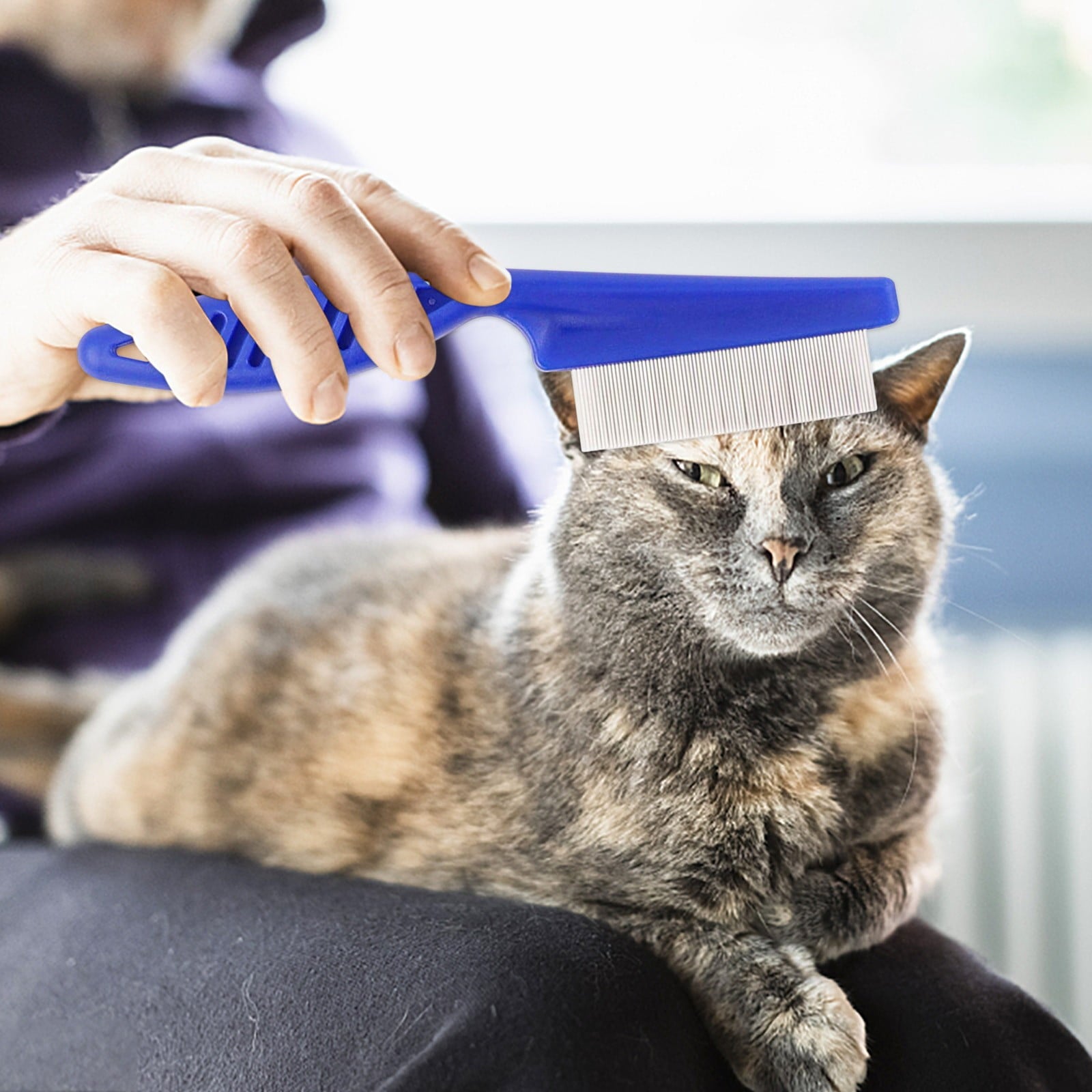 Shldybc Pet Flea Comb 6-Piece Set Of Blue Comb Stainless Steel Needle Dense Tooth Cat and Dog Comb, Summer Savings Clearance