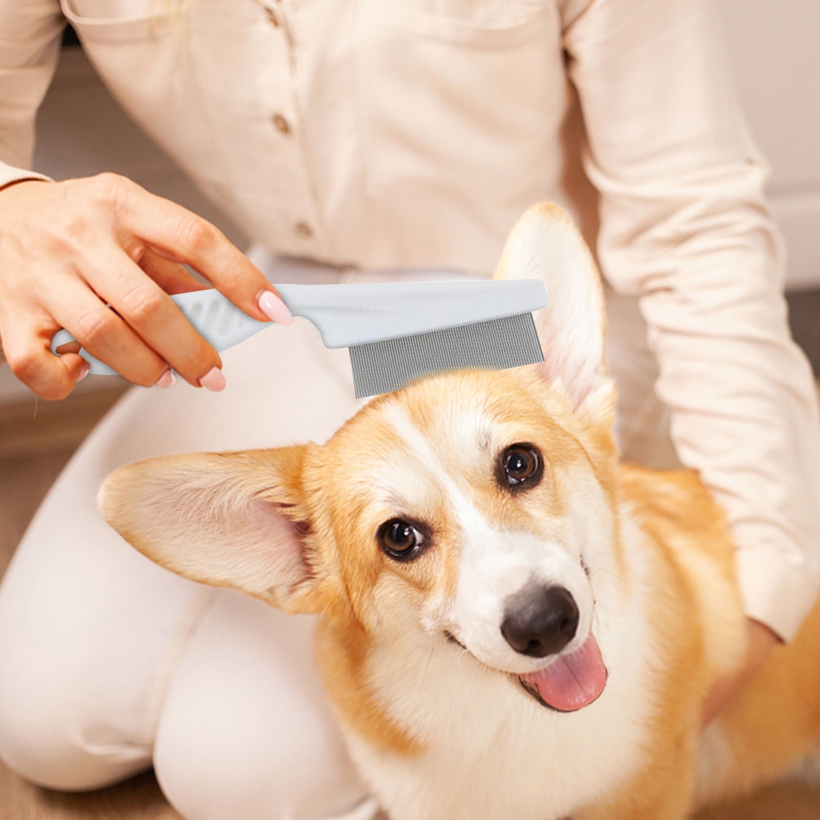 NIZELUK Pet Flea Removal Comb, Dog Flea Removal Brush, Pet Grooming Comb, Hair Removal Tool for Pets, Flea Comb for Dog and Cat Care Clearance Sales Today Deals Prime