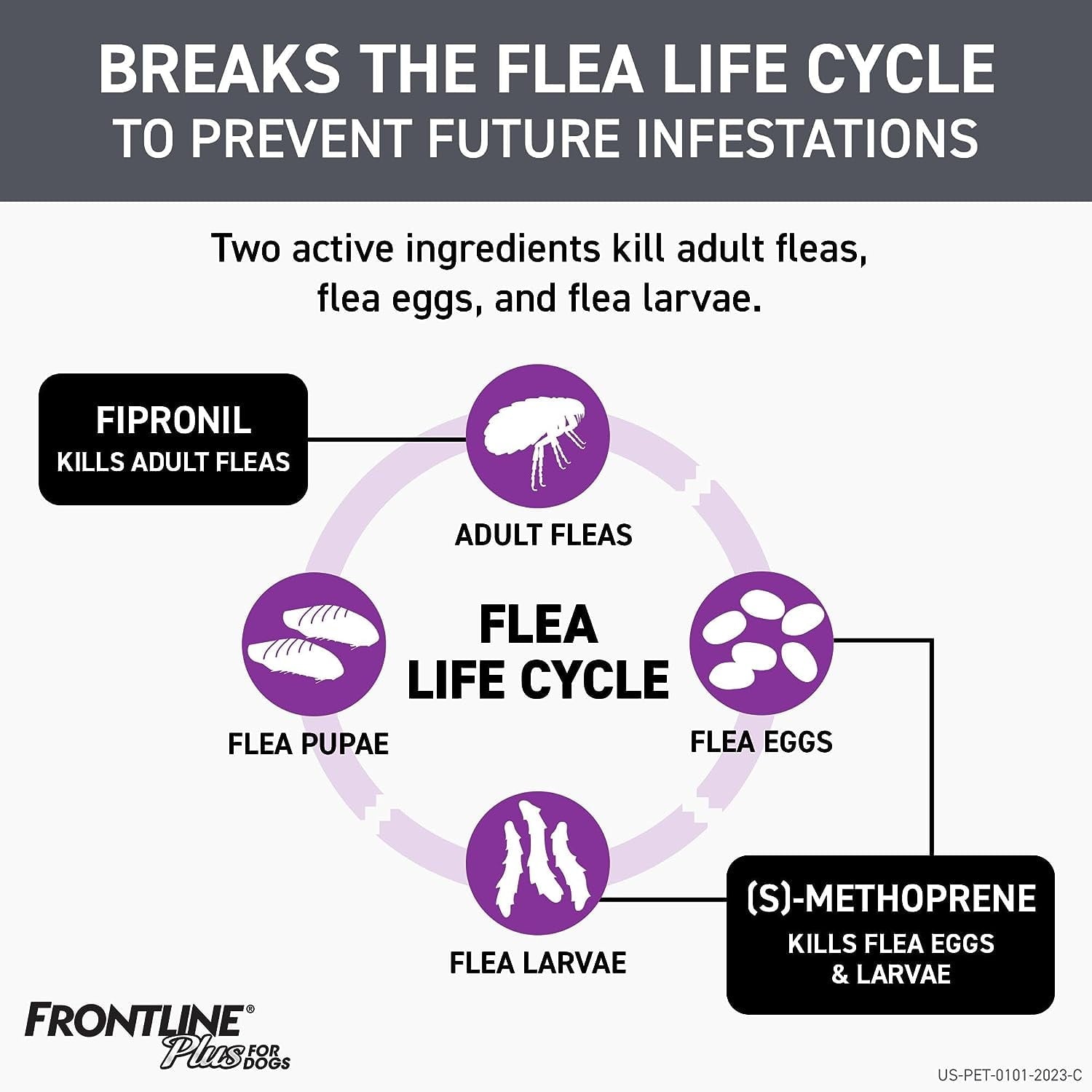 Frontline Plus Flea and Tick Prevention for Extra-Large Dogs, 6 Monthly Treatments