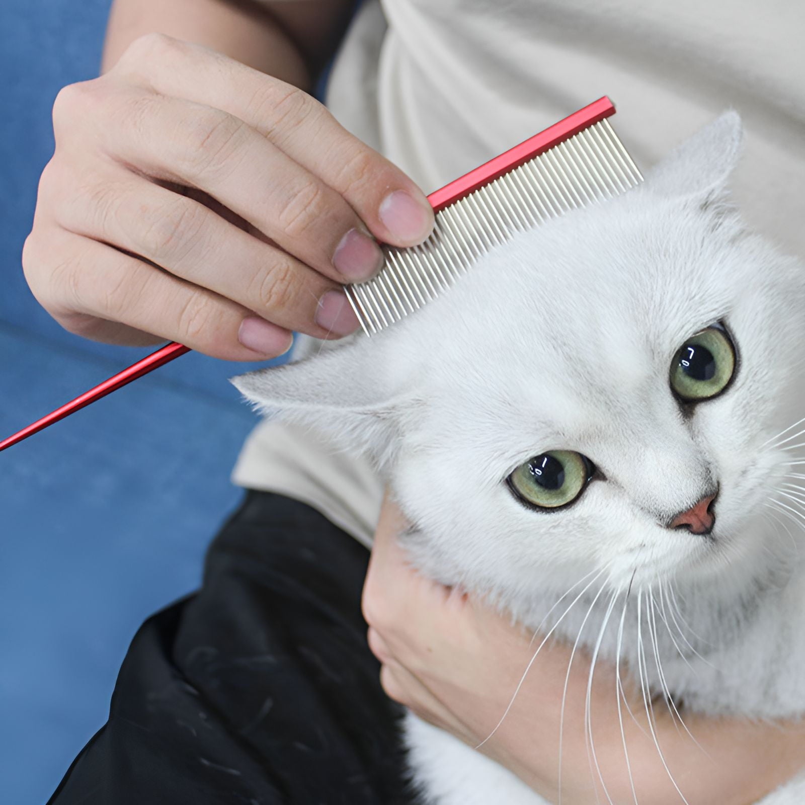 ACDANC Dog Comb,Stainless Steel Cat Comb,For Long & Short Hair Dematting Comb for Dogs,Blue