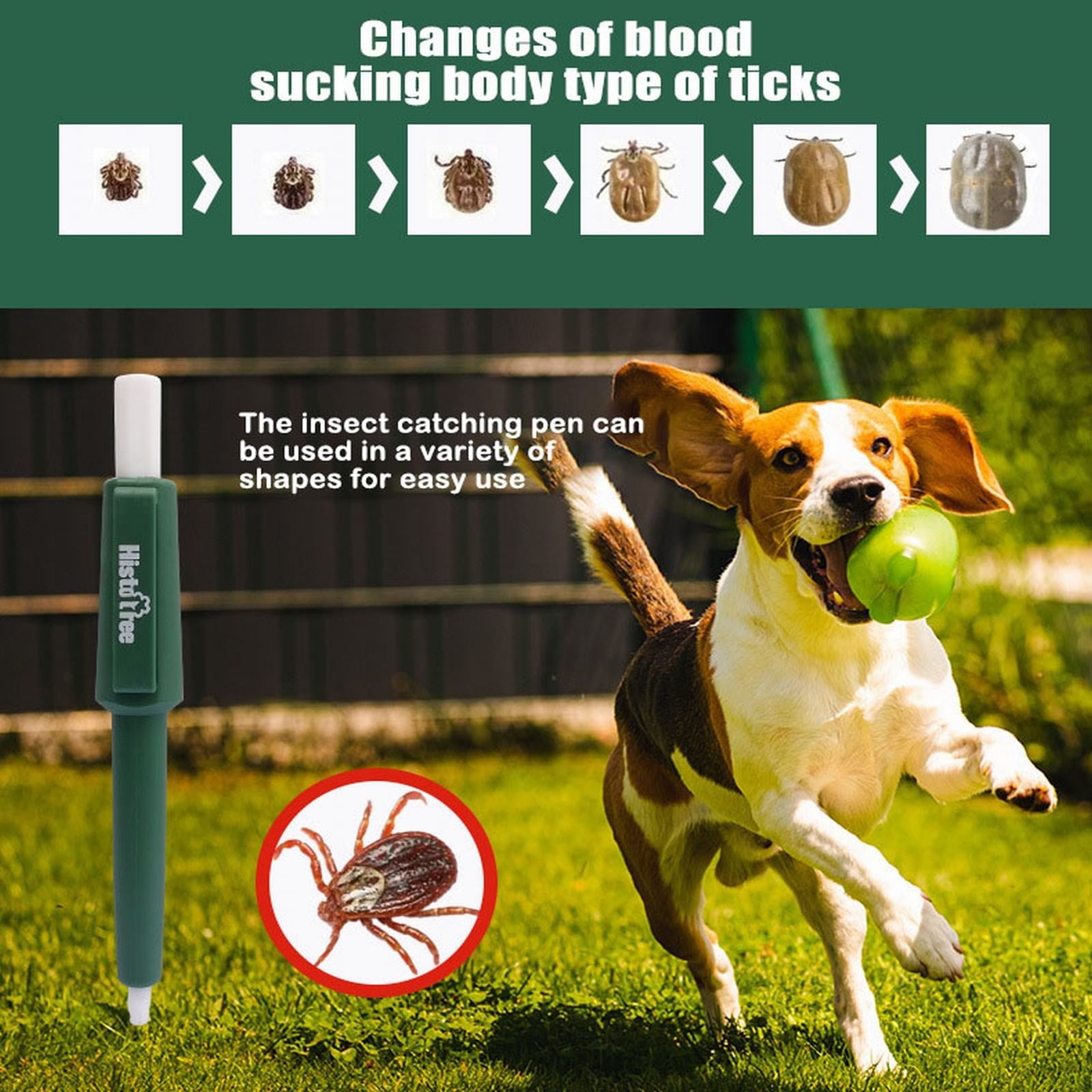 Safe Pet Tick Remover Tool â Quick Flea & Lice Extractor for Dogs & Cats, Whole Head Removal, Non-Toxic Grooming Pen (, 11x14cm)