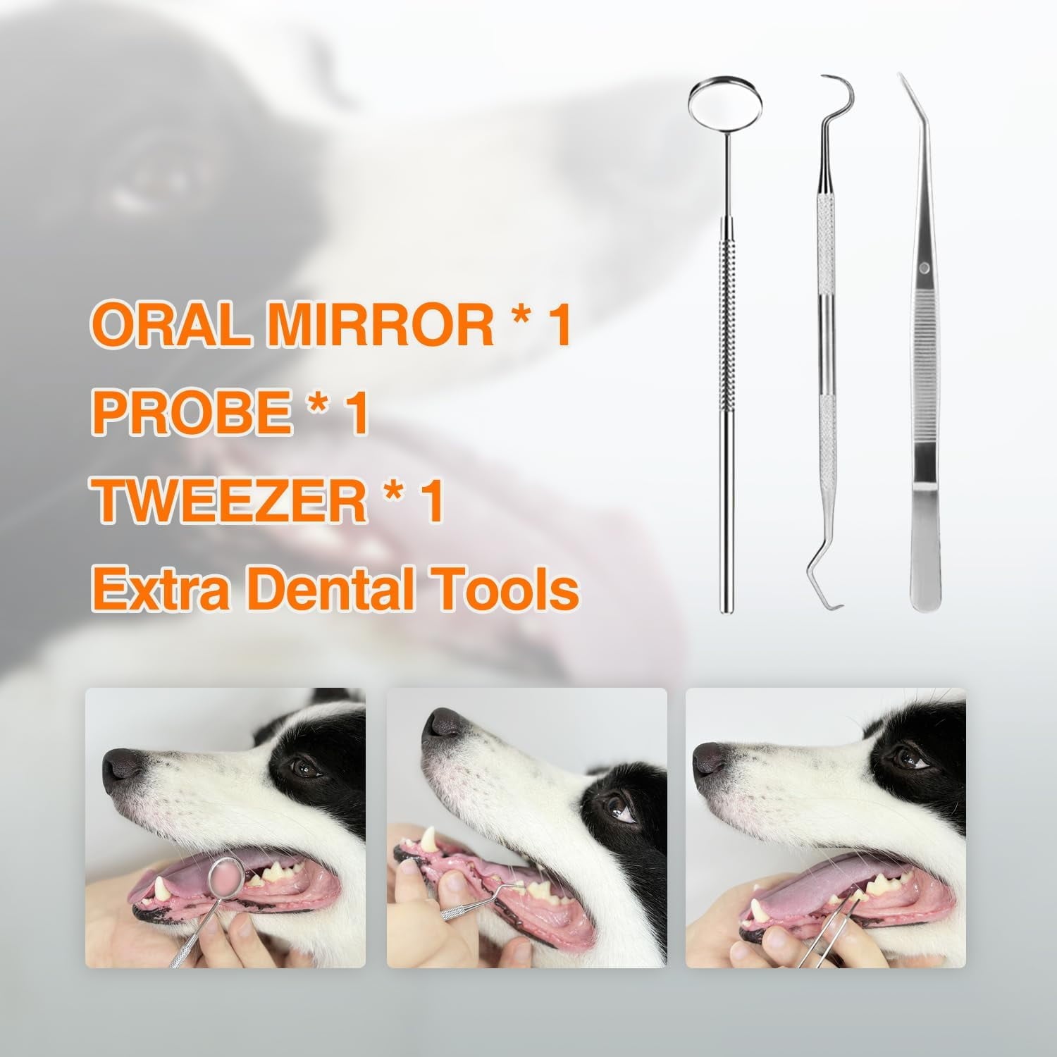 Aorsher Dog Plaque Remover for Teeth, Pet Tooth Cleaner, Dog Teeth Cleaning Kit - Teeth Cleaner with LED Light and Tartar Remover,  Dog Toothbrush Protect Gums