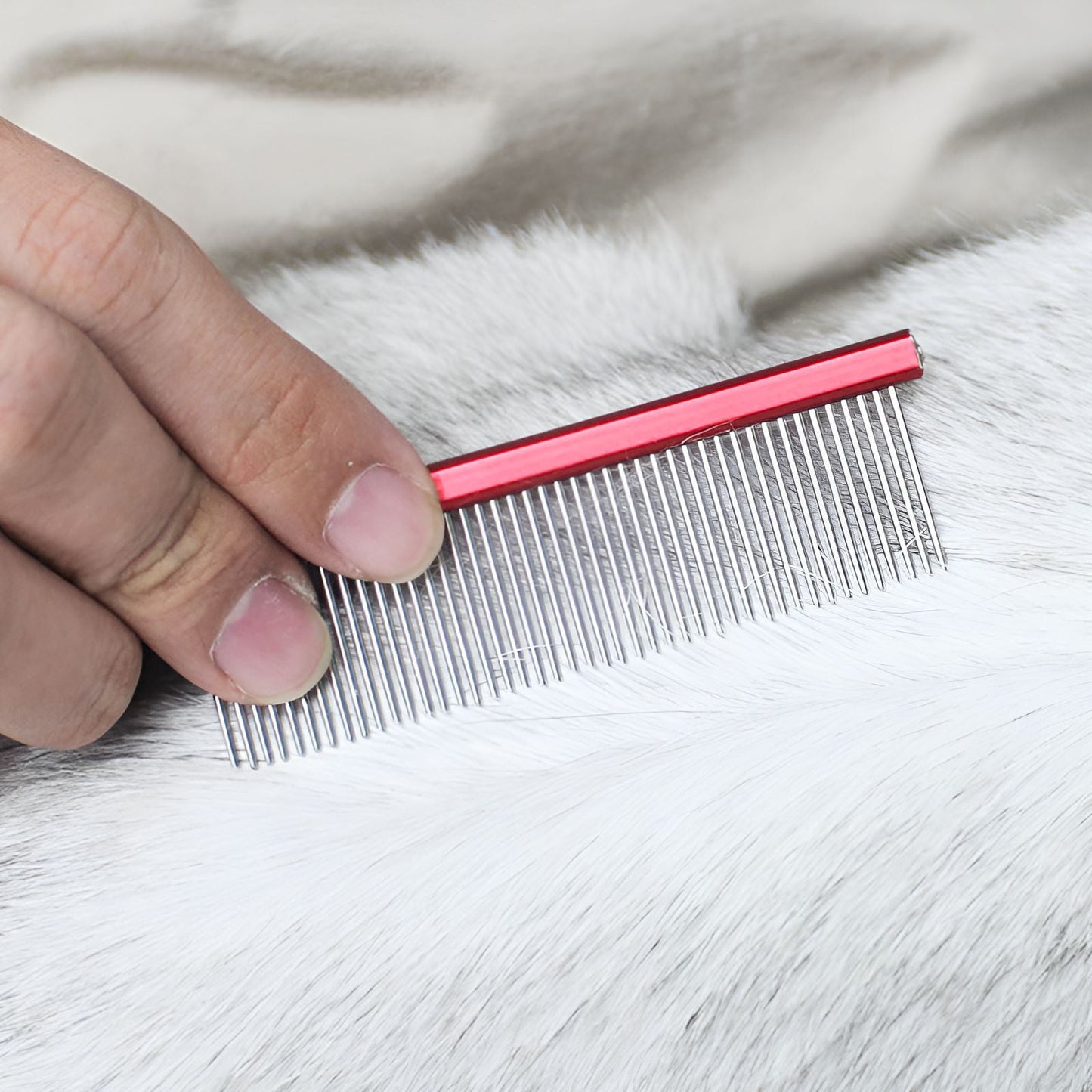 ACDANC Dog Comb,Stainless Steel Cat Comb,For Long & Short Hair Dematting Comb for Dogs,Blue