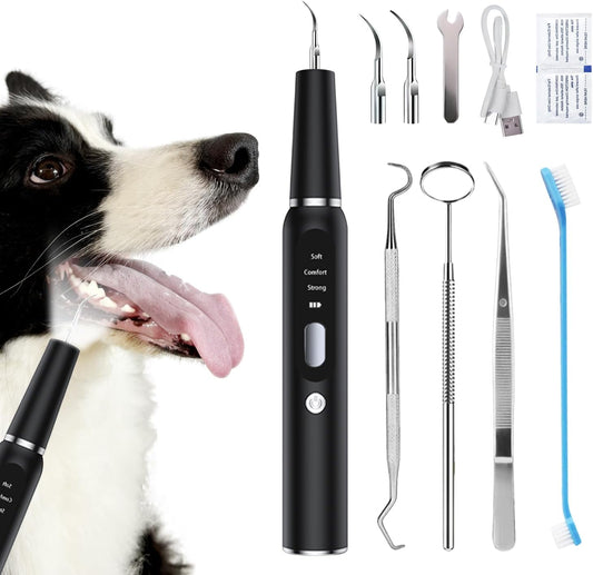 Aorsher Dog Plaque Remover for Teeth, Pet Tooth Cleaner, Dog Teeth Cleaning Kit - Teeth Cleaner with LED Light and Tartar Remover,  Dog Toothbrush Protect Gums