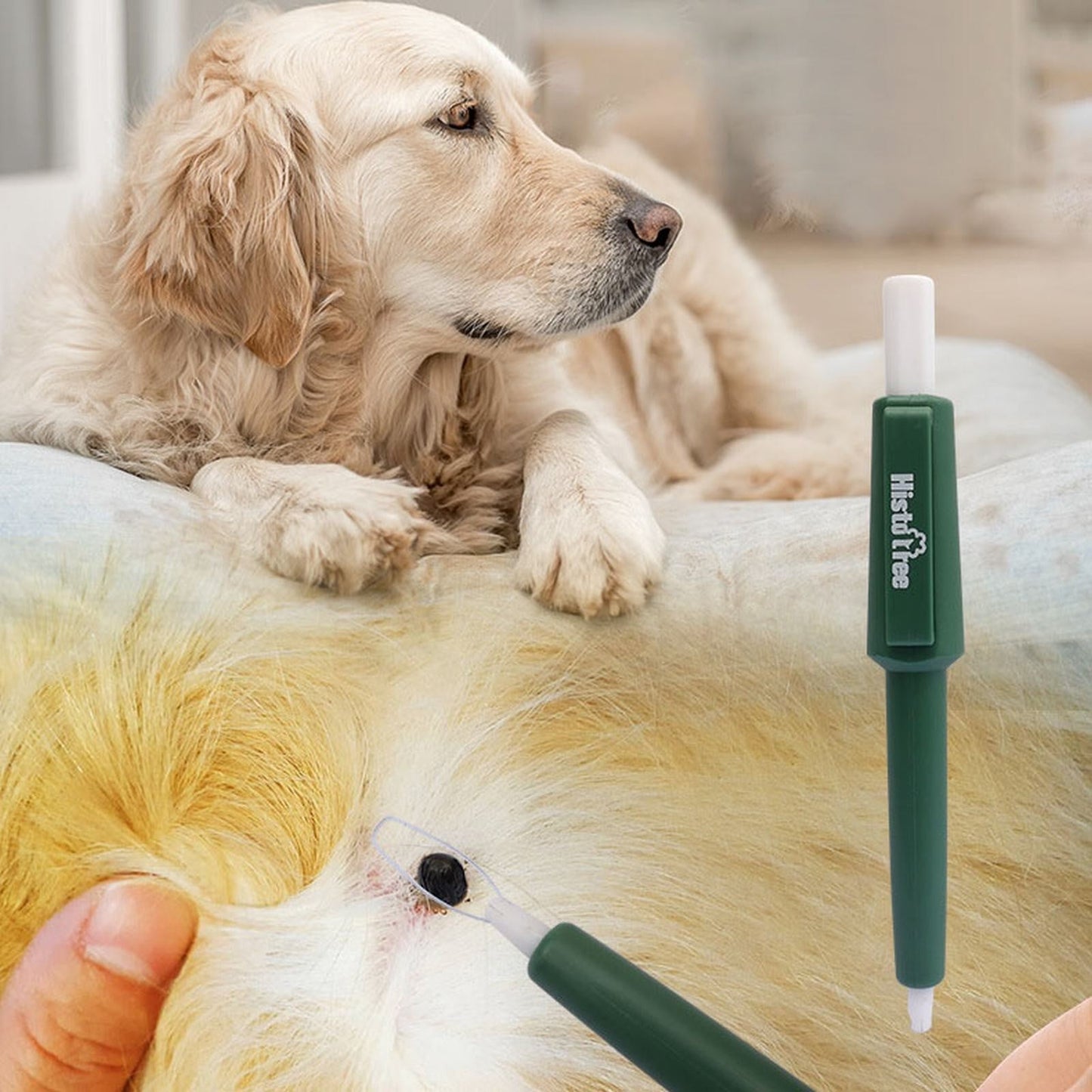 Safe Pet Tick Remover Tool â Quick Flea & Lice Extractor for Dogs & Cats, Whole Head Removal, Non-Toxic Grooming Pen (, 11x14cm)