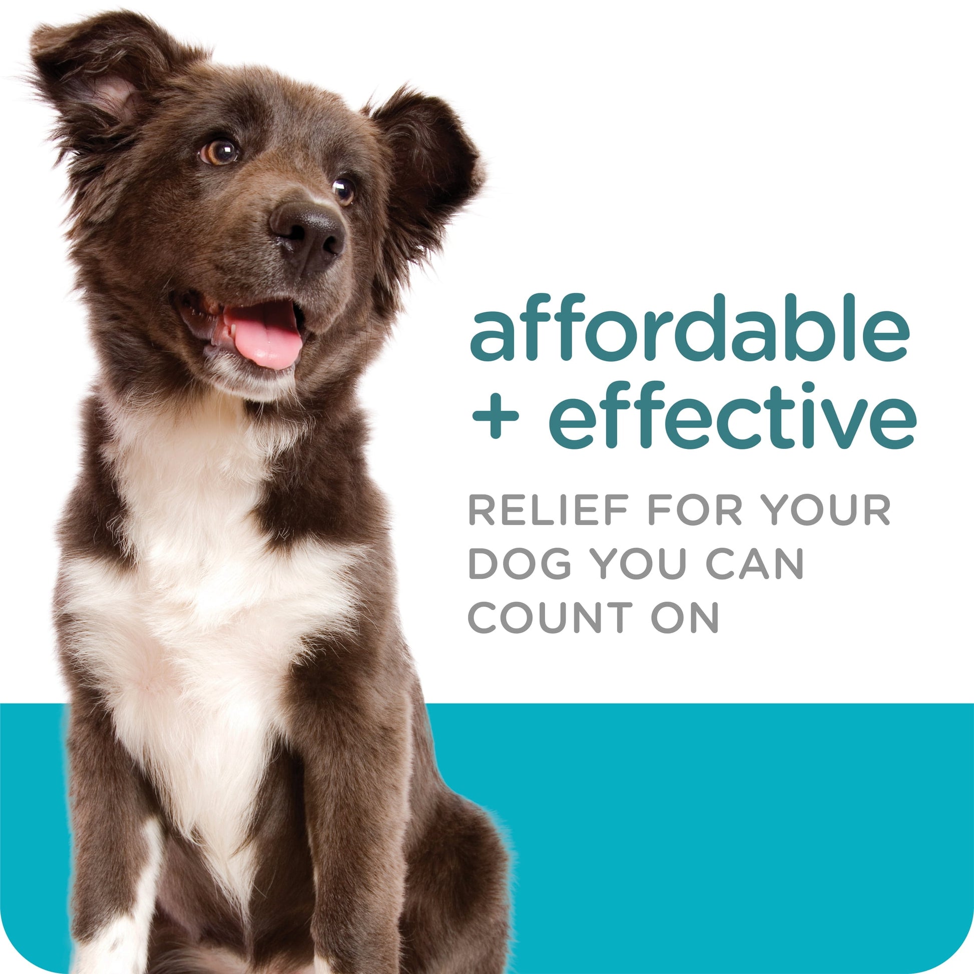 SERGEANT'S GUARDIAN Flea & Tick Topical for Dogs, 7-33 lbs, kills fleas and ticks, plus repels mosquitoes for up to four weeks.