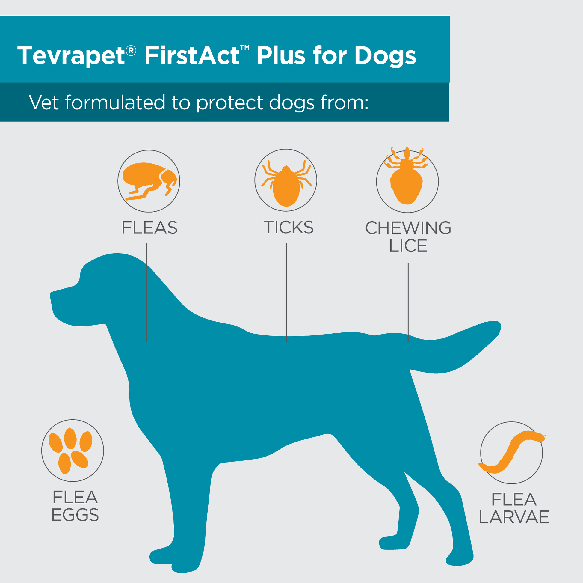 TevraPet FirstAct Plus Flea and Tick Prevention for Extra Large Dogs 89-132 lbs, 3 Monthly Treatments