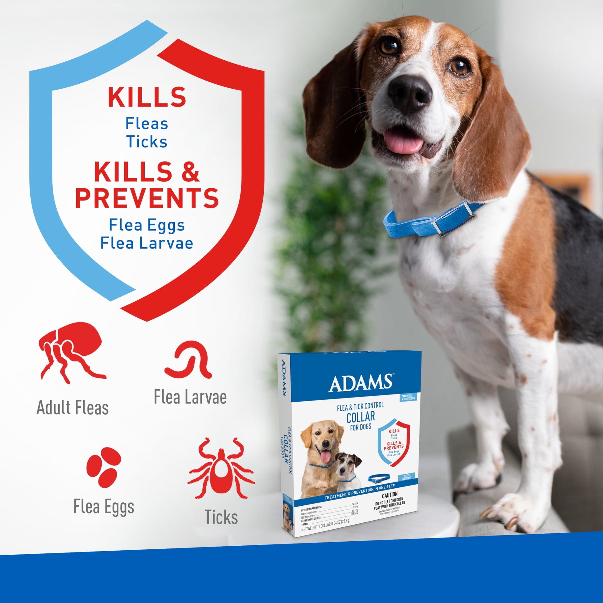 Adams Flea and Tick Control Collar for Dogs and Puppies (1 Pack)