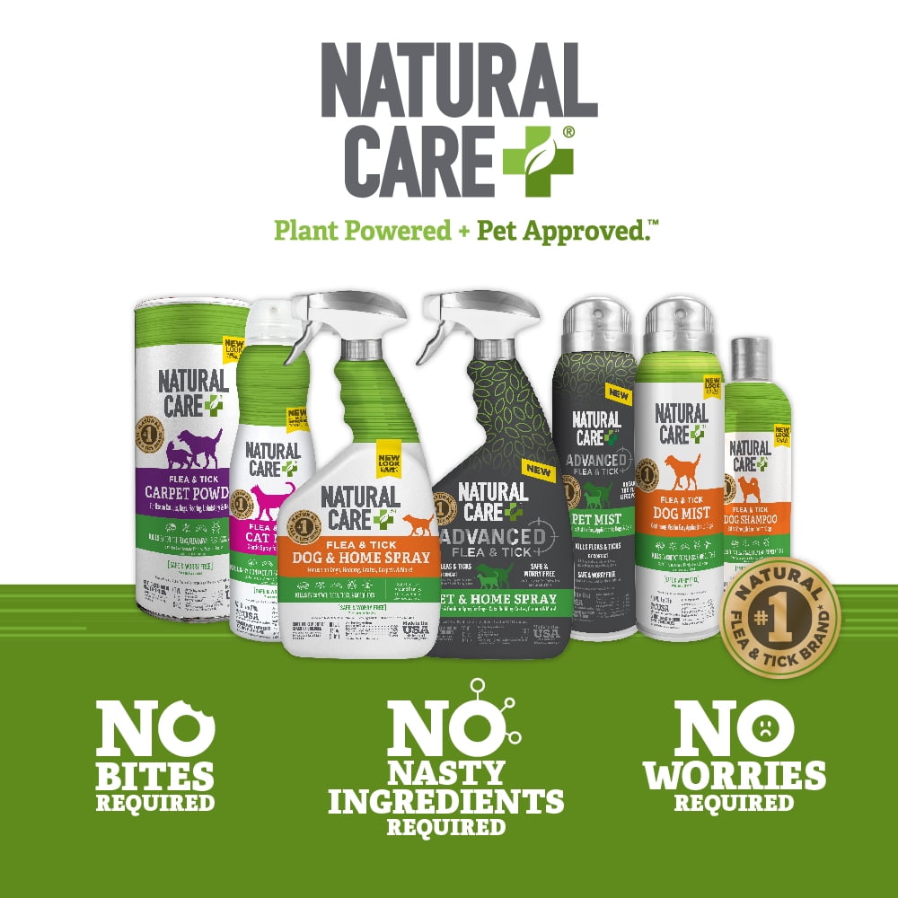 Natural Care Flea and Tick Dog Shampoo -Peppermint Scent - 12oz.