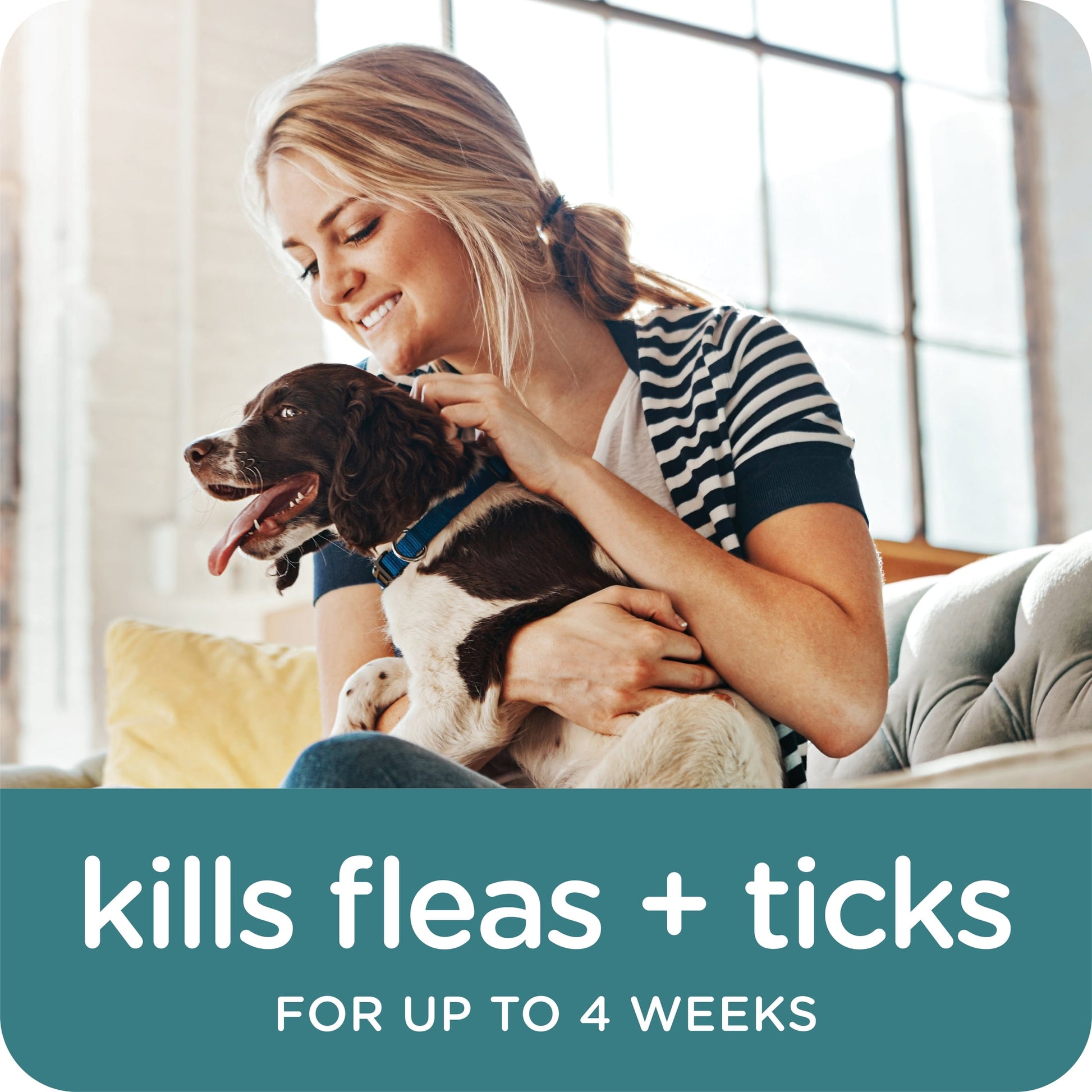 SERGEANT'S GUARDIAN Flea & Tick Topical for Dogs, 7-33 lbs, kills fleas and ticks, plus repels mosquitoes for up to four weeks.