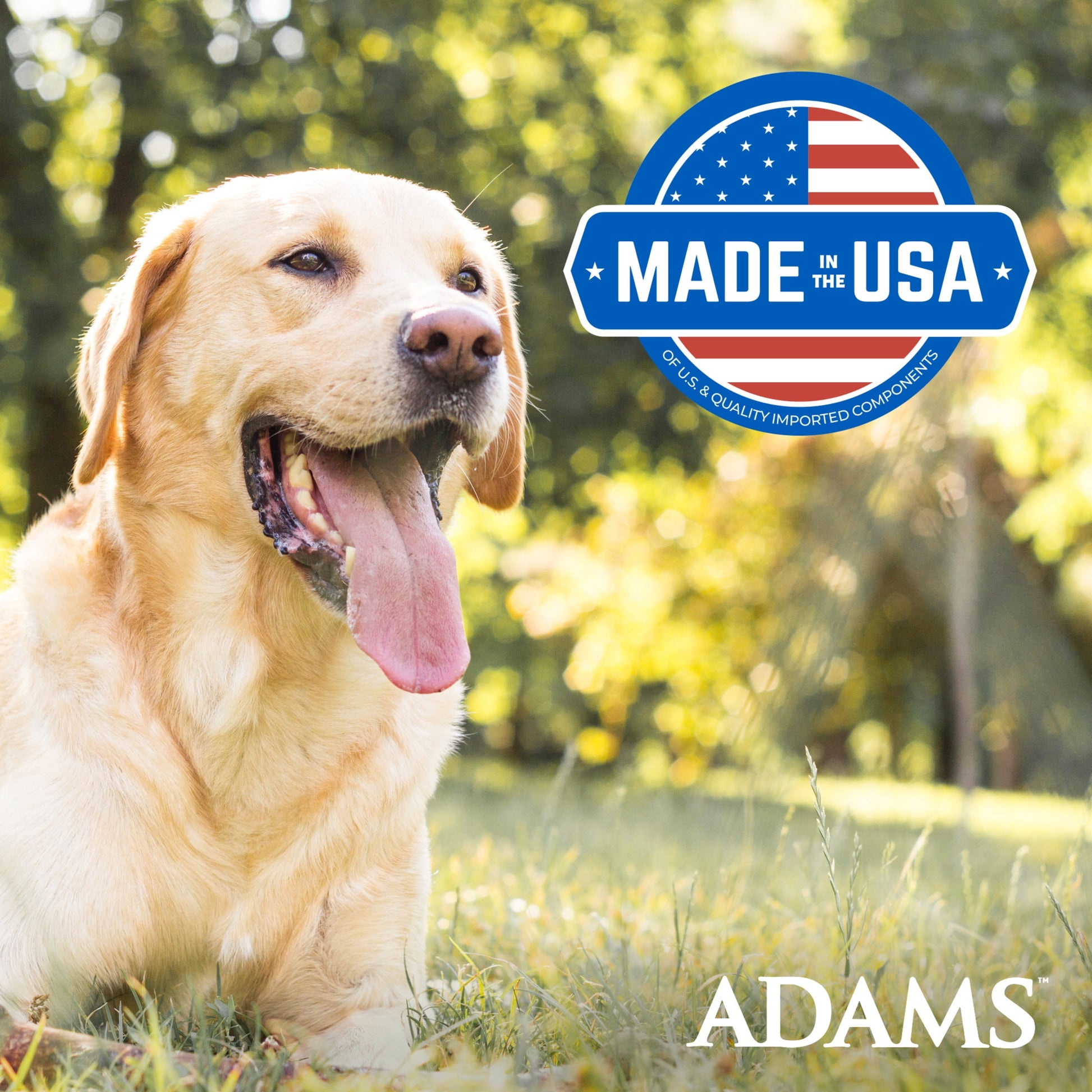 Adams Flea and Tick Control Collar for Dogs and Puppies (1 Pack)