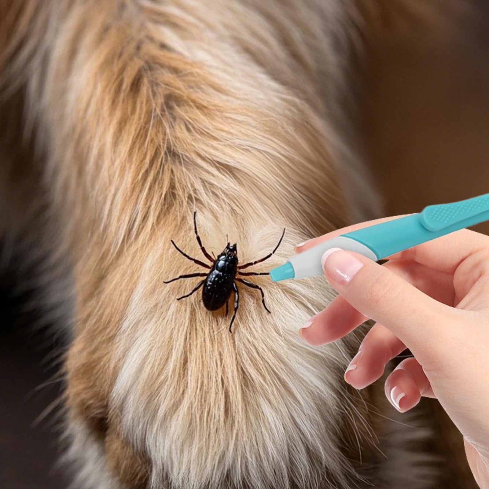 VSFAOV Pet Supplies Pet Insect Catching Tool Reliable Tick Removal Method Pet Catcher Cat and Dog Grooming Catcher Tick Holder Tick Remover Pen
