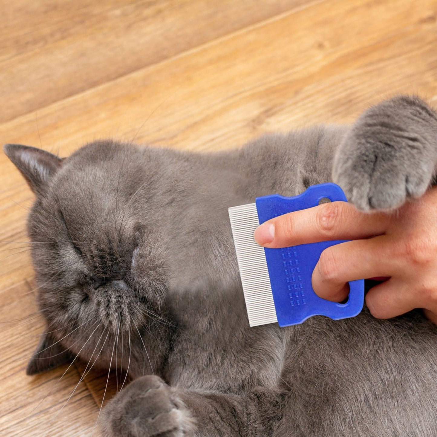Shldybc Pet Flea Comb 6-Piece Set Of Blue Comb Stainless Steel Needle Dense Tooth Cat and Dog Comb, Summer Savings Clearance