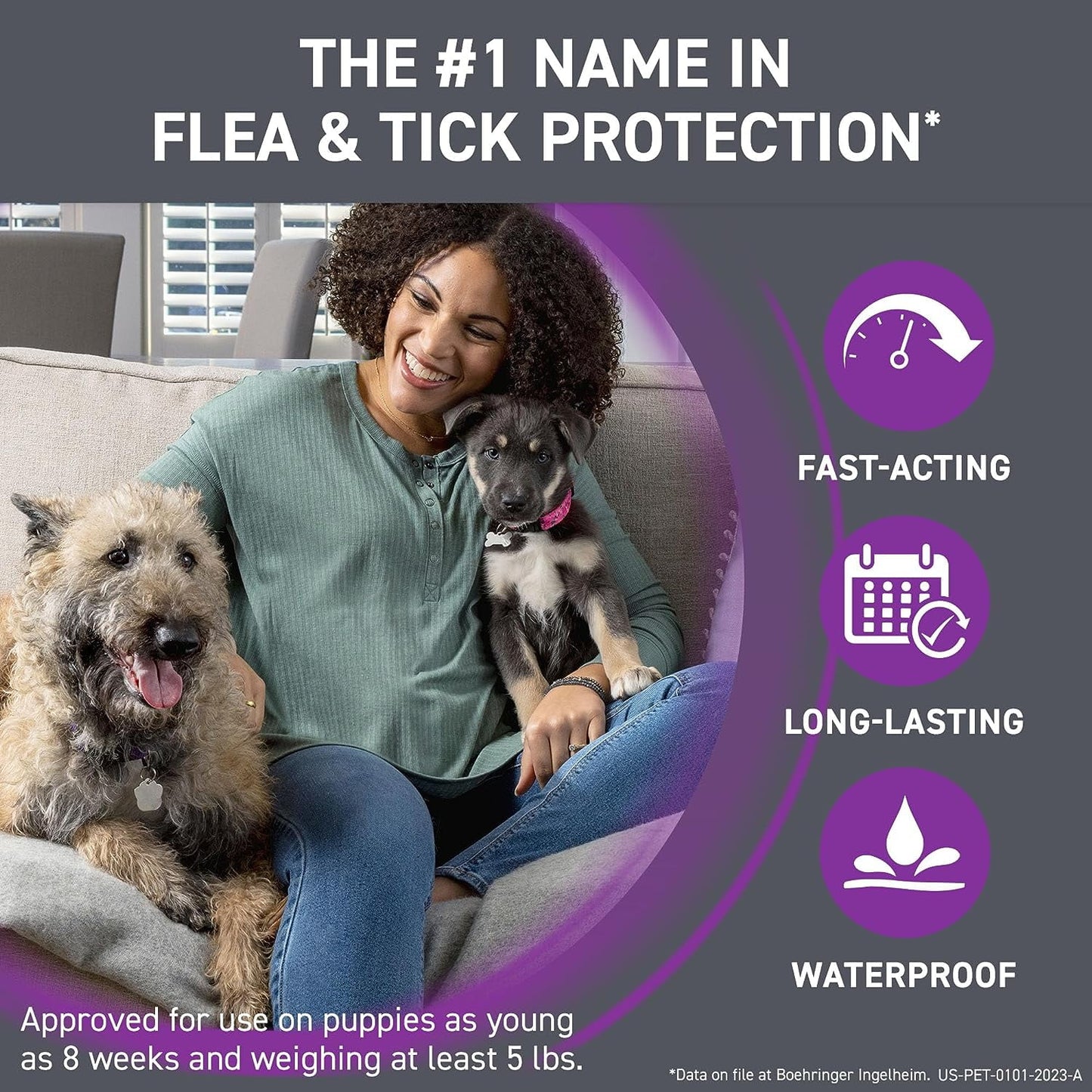 Frontline Plus Flea and Tick Prevention for Extra-Large Dogs, 6 Monthly Treatments