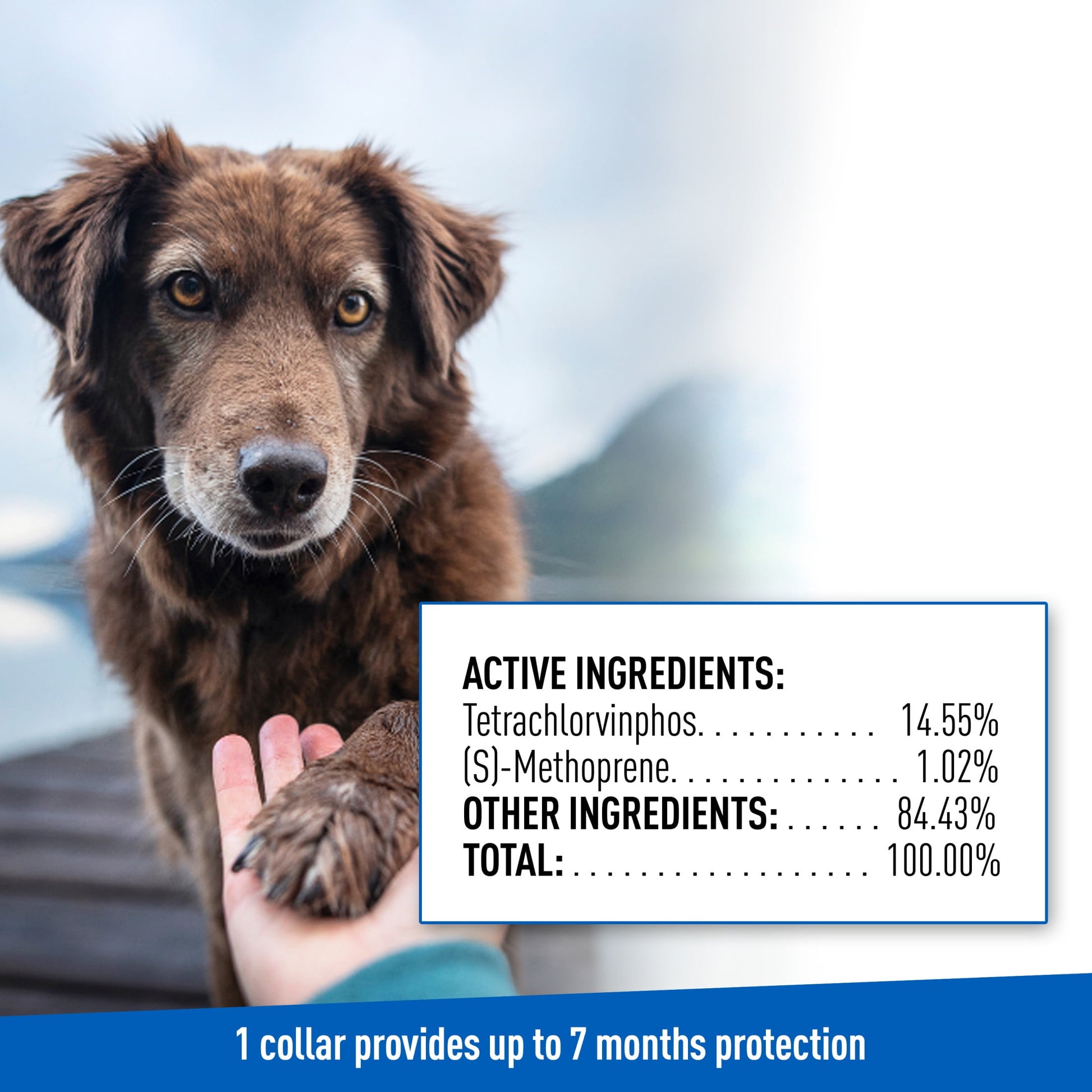 Adams Flea and Tick Control Collar for Dogs and Puppies (1 Pack)