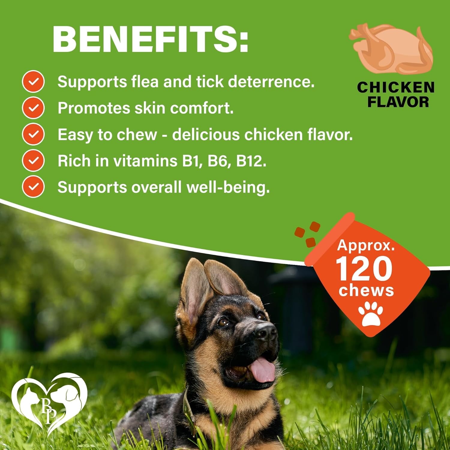 Beloved Pets Natural Flea & Tick Support Bacon Flavored Soft Chew for Skin & Coat Supplement for Dogs, 10-oz Jar (Bacon)